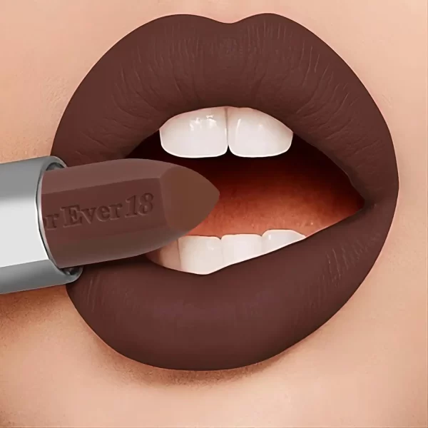 21+ MATTE LONG LASTING LIPSTICK KLS