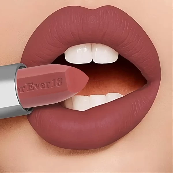 24+ MATTE LONG LASTING LIPSTICK KLS