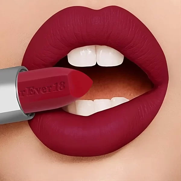 42+ MATTE LONG LASTING LIPSTICK KLS