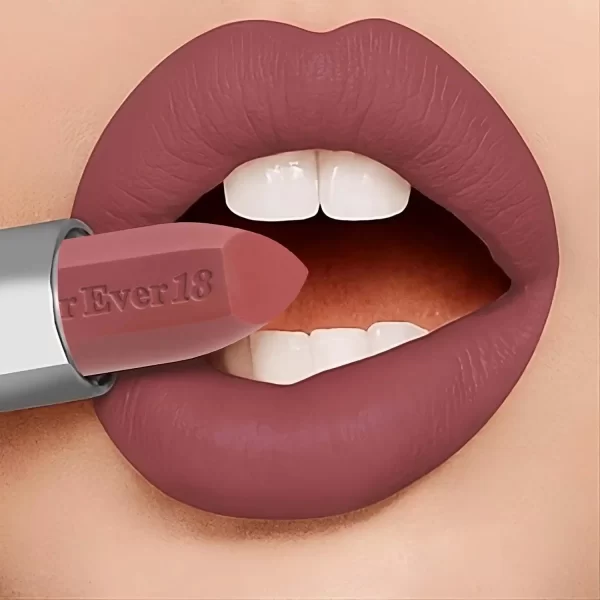 47+ MATTE LONG LASTING LIPSTICK KLS