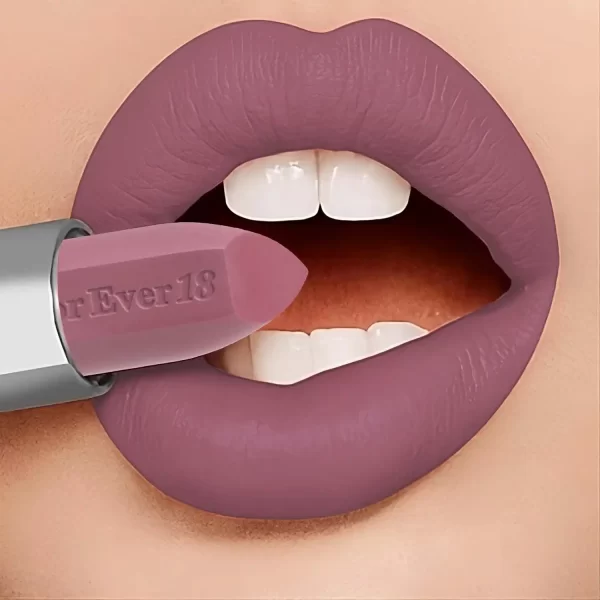 48+ MATTE LONG LASTING LIPSTICK KLS