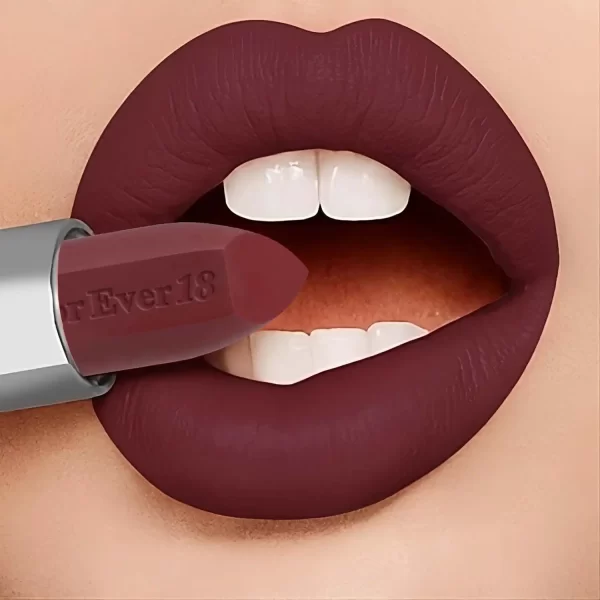 49+ MATTE LONG LASTING LIPSTICK KLS