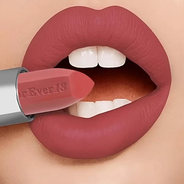 66+ MATTE LONG LASTING LIPSTICK KLS