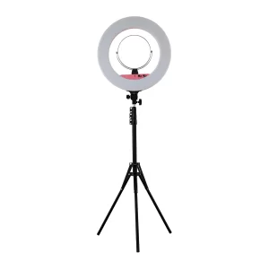 Ringlight Forever18 Big
