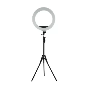 Ringlight Forever18 Small