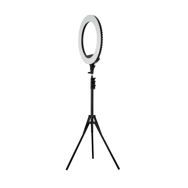2 Ringlight Forever18 Small