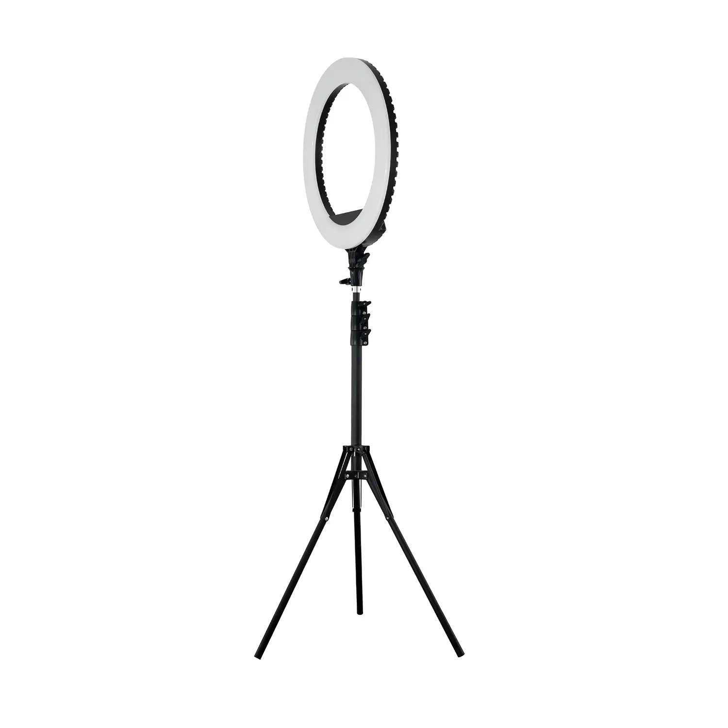 Ringlight Forever18 Small