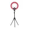 Ringlight Forever18 Big