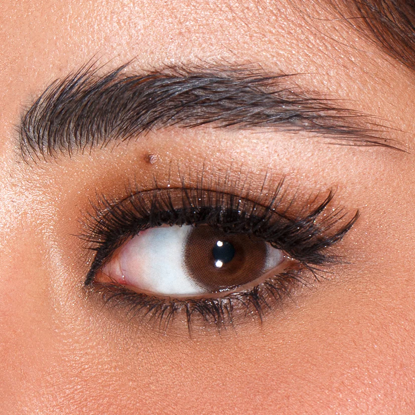 Amara Color Contact Lenses - Classic Brown