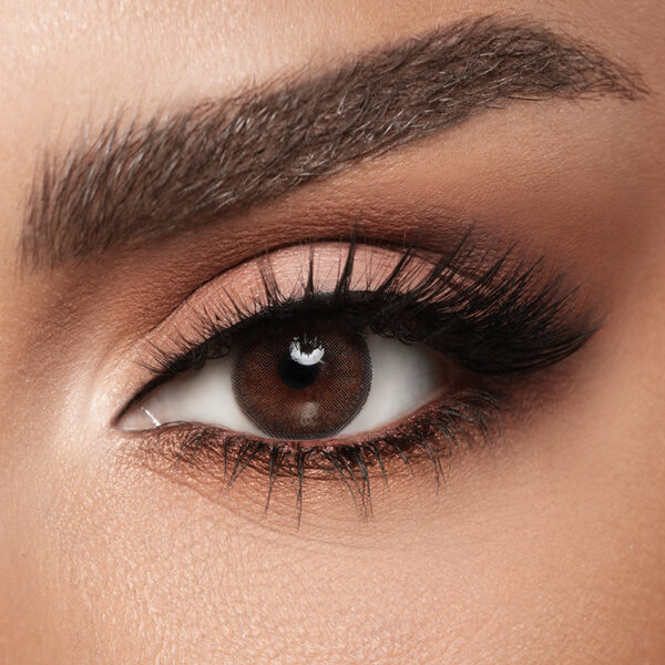 Cedar Contact Lenses