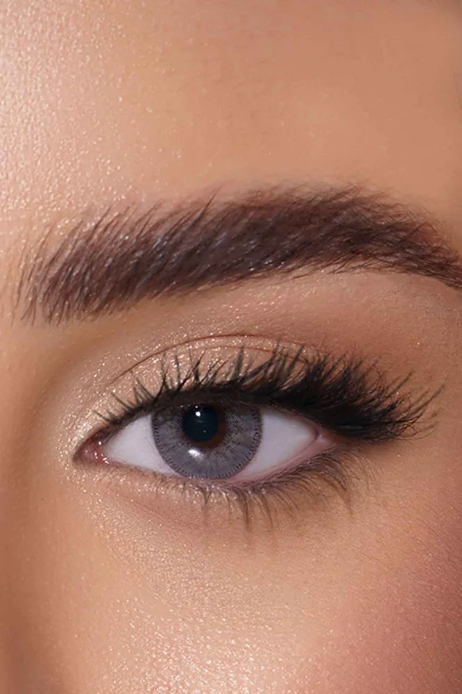 AFLE Argent Daily Contact Lenses - Lenses Color - Pack of 2 lenses