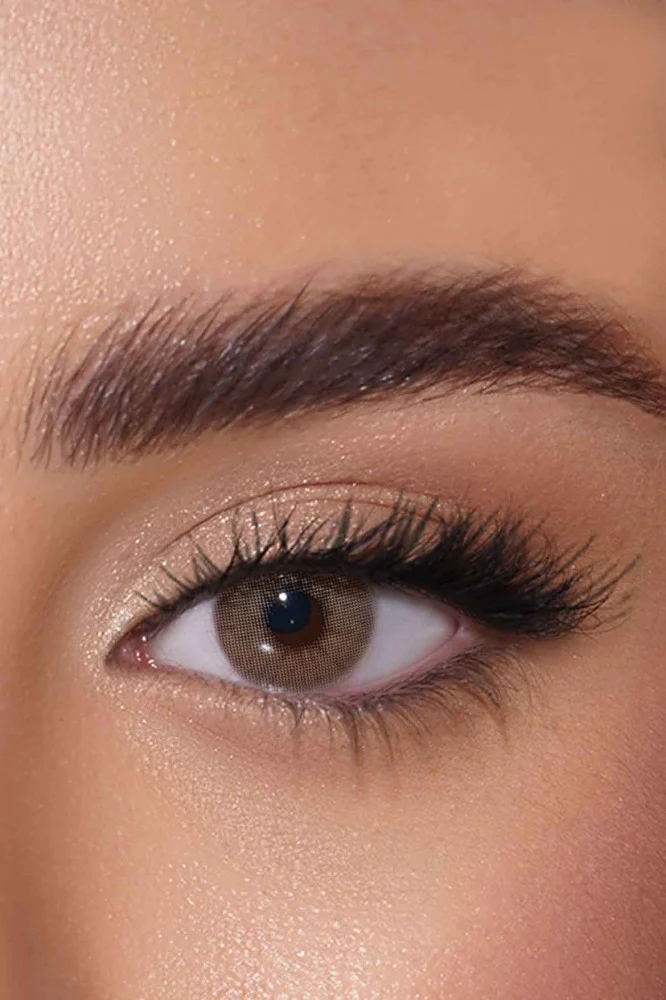 AFLE Clay Daily Contact Lenses - Lenses Color - Pack of 2 lenses