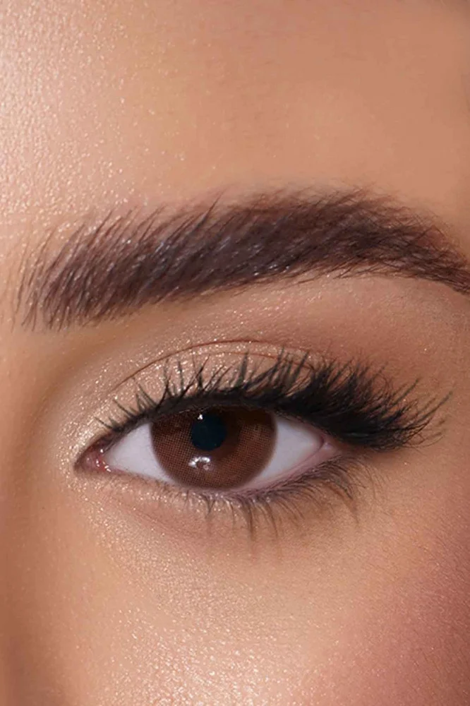 AFLE Deep Daily Contact Lenses - Lenses Color - Pack of 2 lenses