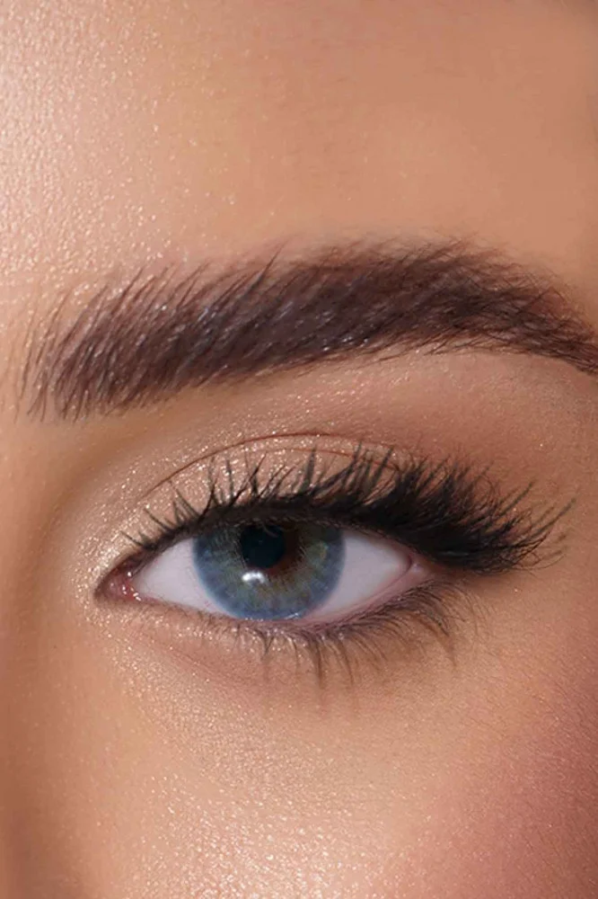 AFLE Ocean Daily Contact Lenses - Lenses Color - Pack of 2 lenses