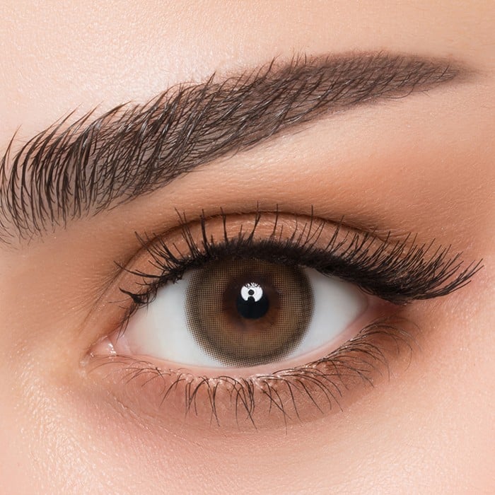 AFLE Palm Daily Contact Lenses