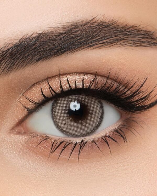 LensMe Café Contact Lenses