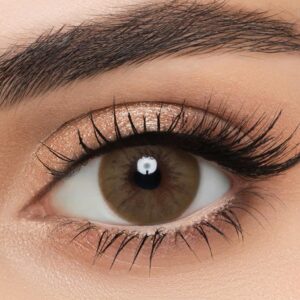 LensMe Latte Contact Lenses