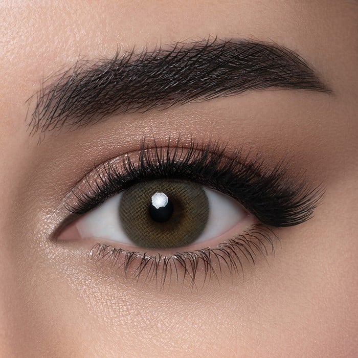 Lensme Petroleum Contact Lenses